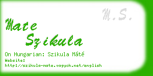 mate szikula business card