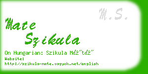 mate szikula business card